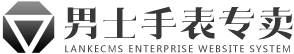 Enterprise website system